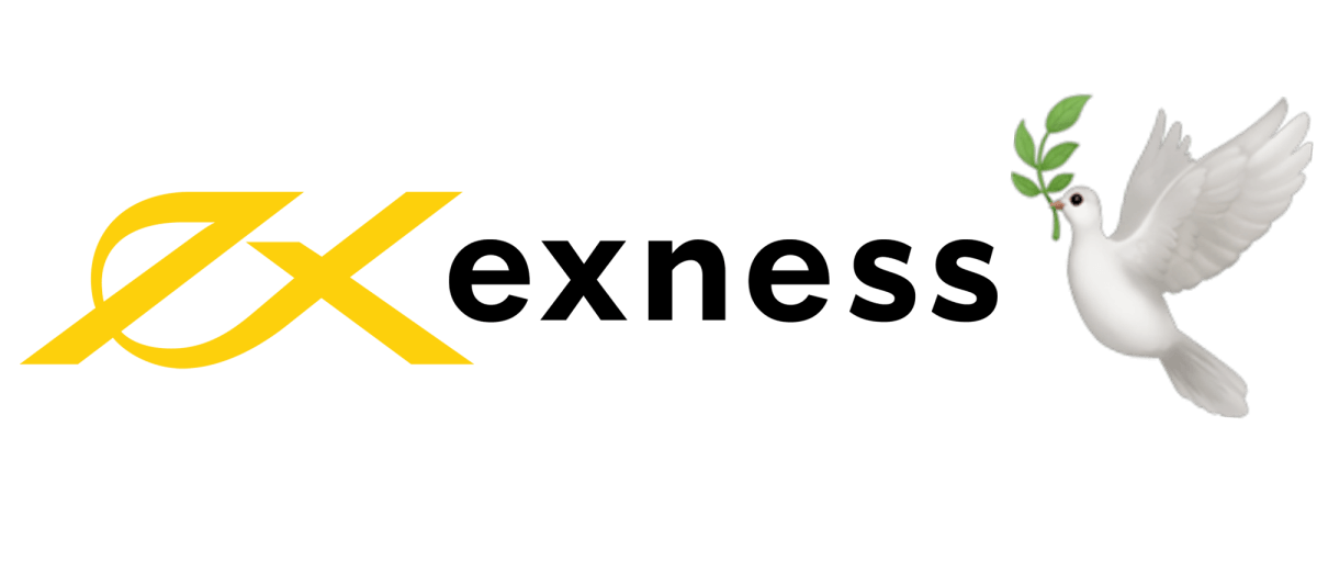 Comprehensive Guide to Exness Account Comparison Comprehensive Guide to Exness Account Comparison