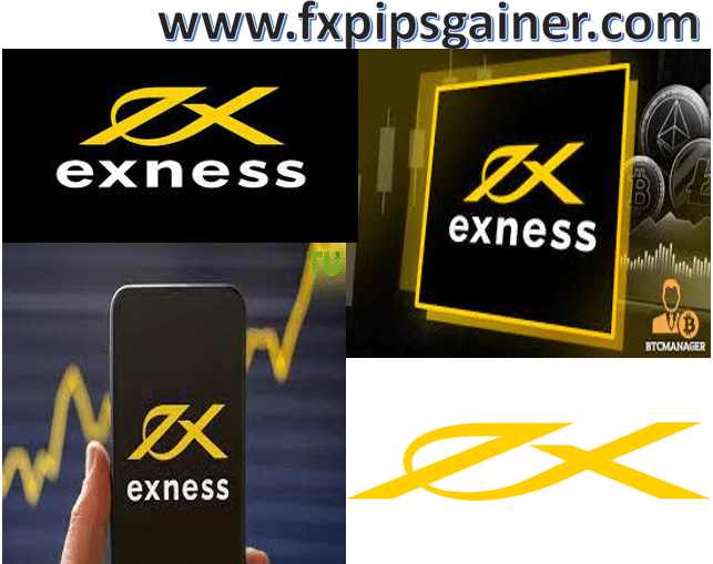 Comprehensive Guide to Exness Account Comparison Comprehensive Guide to Exness Account Comparison